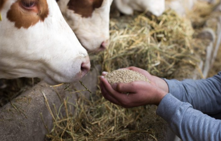 preciso de uma imagem com mockup da logo de construção civil